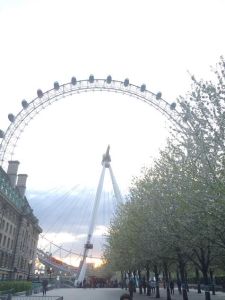 www.londoneye.com