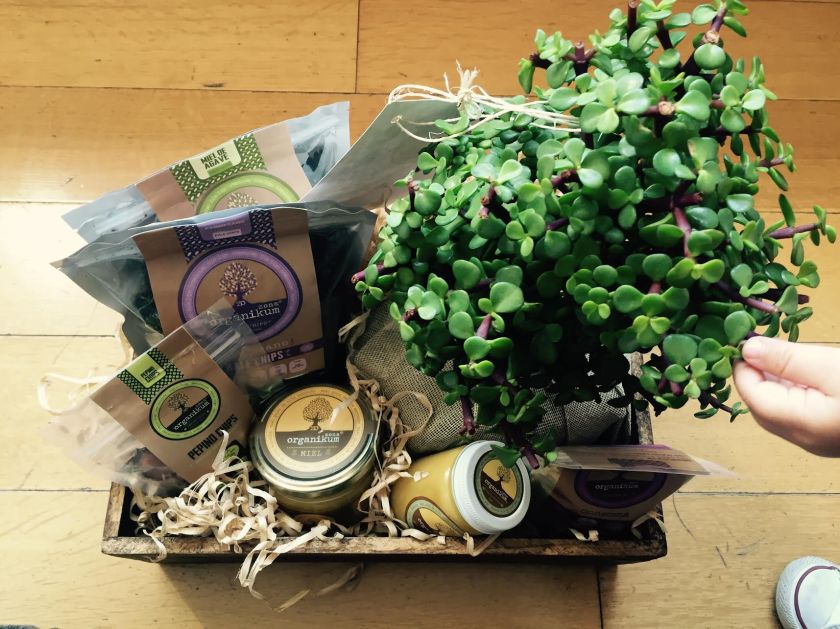 e27a0619-ce90-42e0-9425-99077eca759f