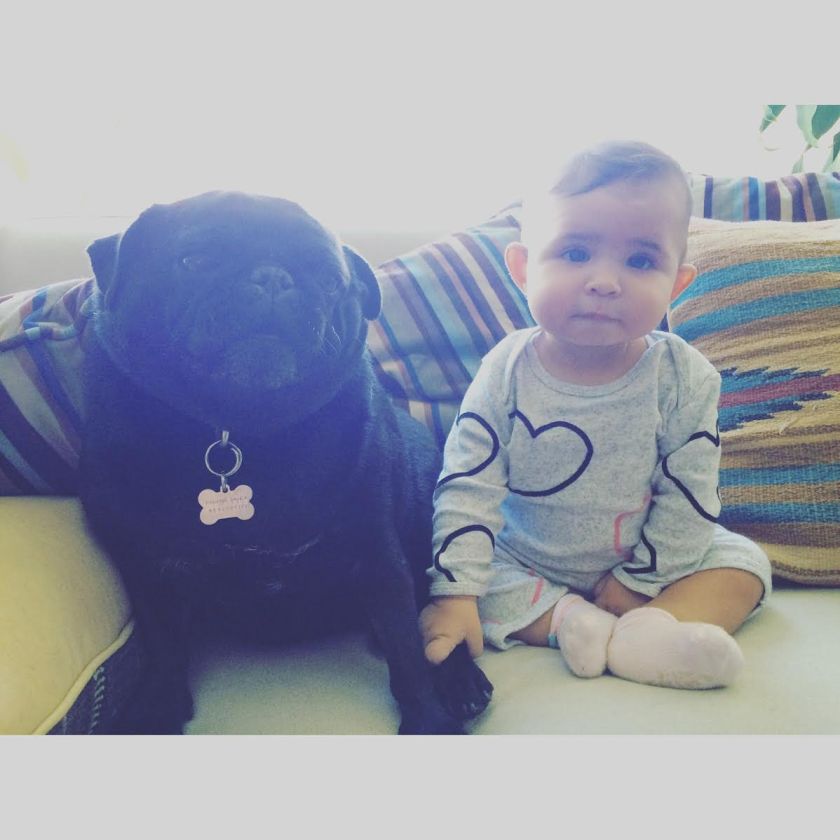 3fd8984a-7ae5-41de-9b6c-f6905b25f3b3