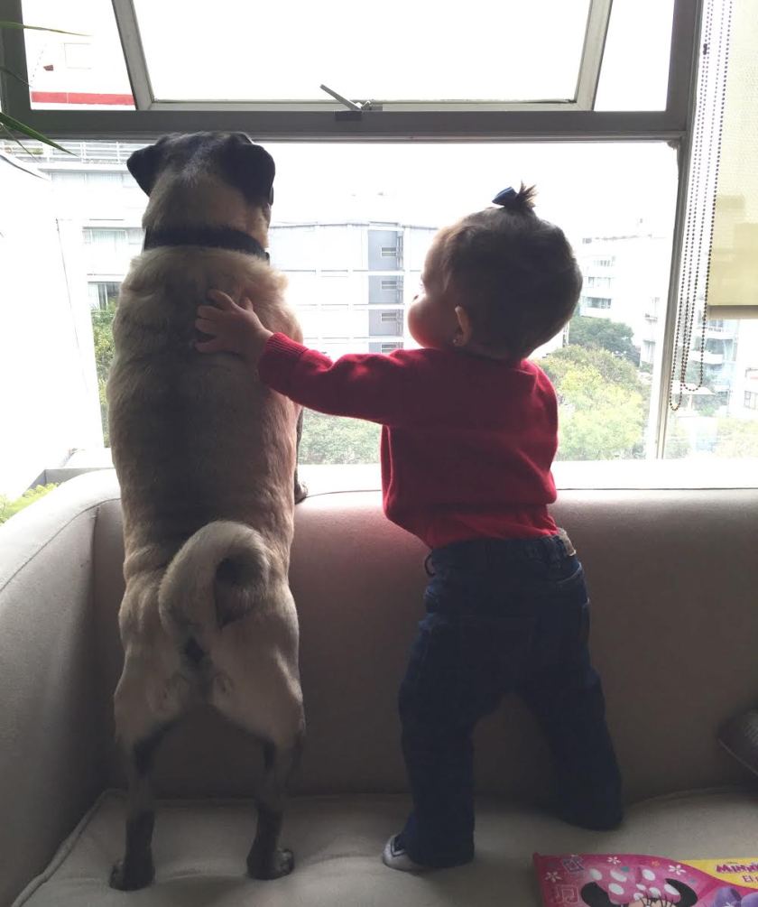 a5666026-f837-44af-a753-75a3a720e0e1