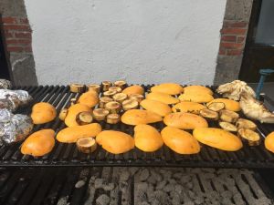 bc6c751a-7f7a-471d-ba03-2b6208cd3c7b